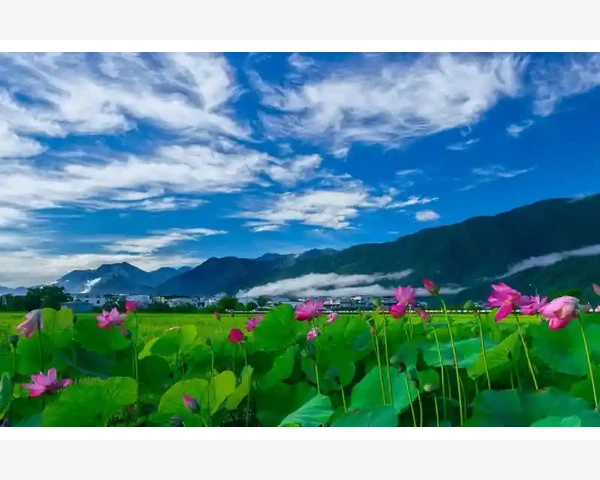 脾胃虚火？这里有10种食物助你平衡体内能量！