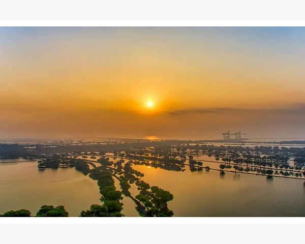 大暑养生：炎炎夏日，如何防暑降温