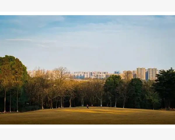脾胃虚火犯了怎么调养
