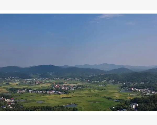 神经痛中药方剂：舒缓痛苦的有效中医疗法